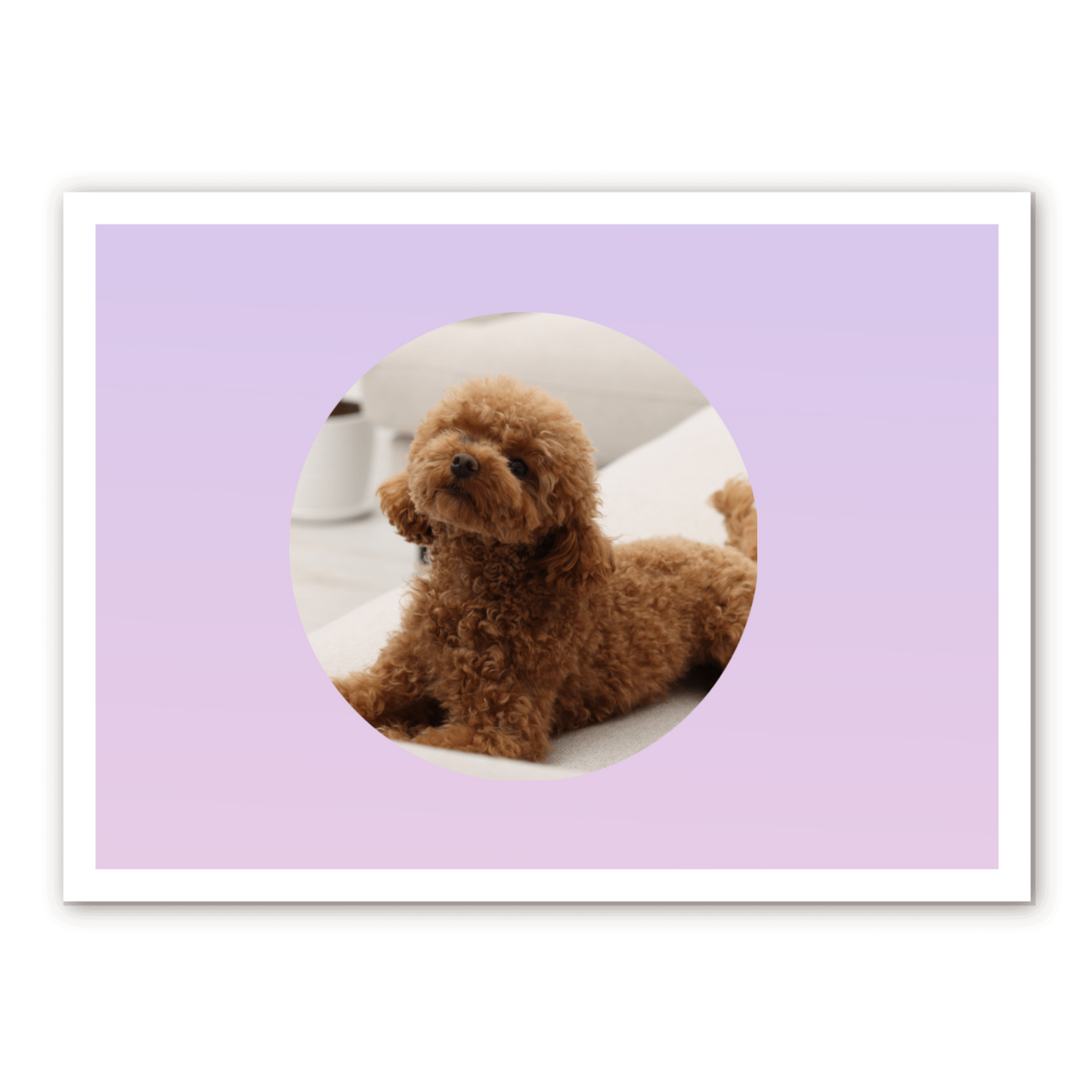 アクリル版(22cm × 30cm、厚さ2mm)