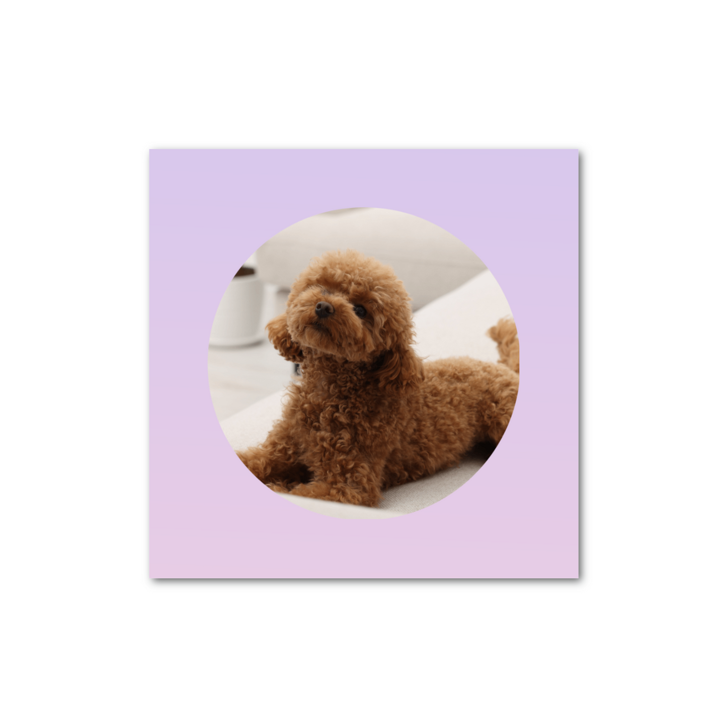 ペーパーウエイト(10cm × 10cm、厚さ2cm) アクリル