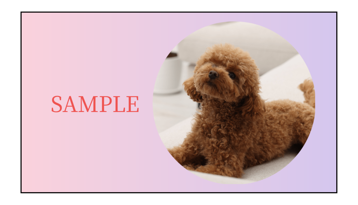 マルチケース プラスチック