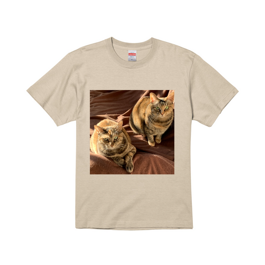 スタンダードサンドベージュ半袖Tシャツ Lサイズ