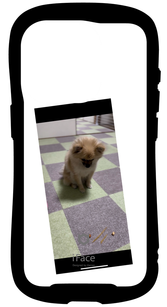 iFace reflectionインナーシート iPhone15Pro