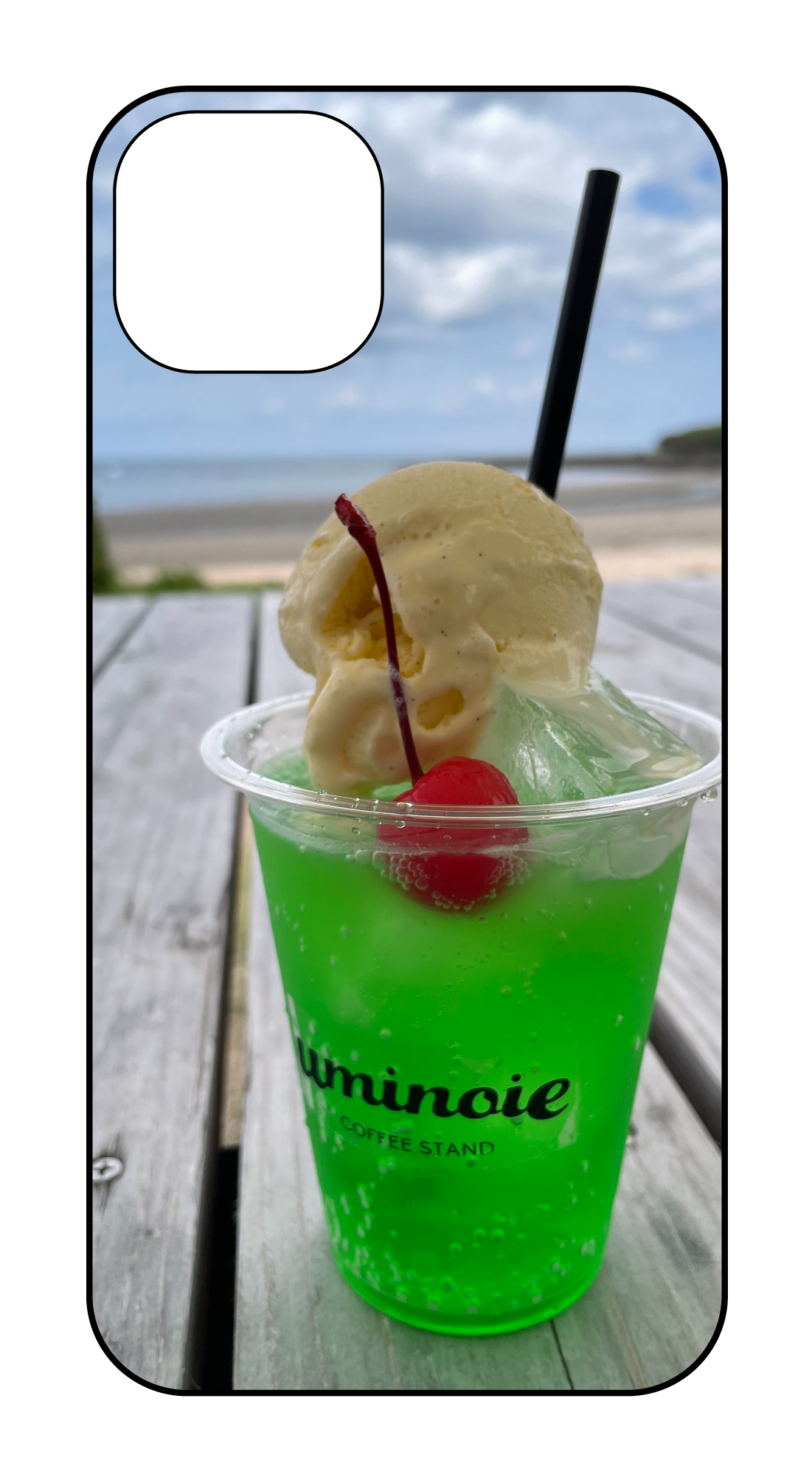 13/14カスタマイズケース